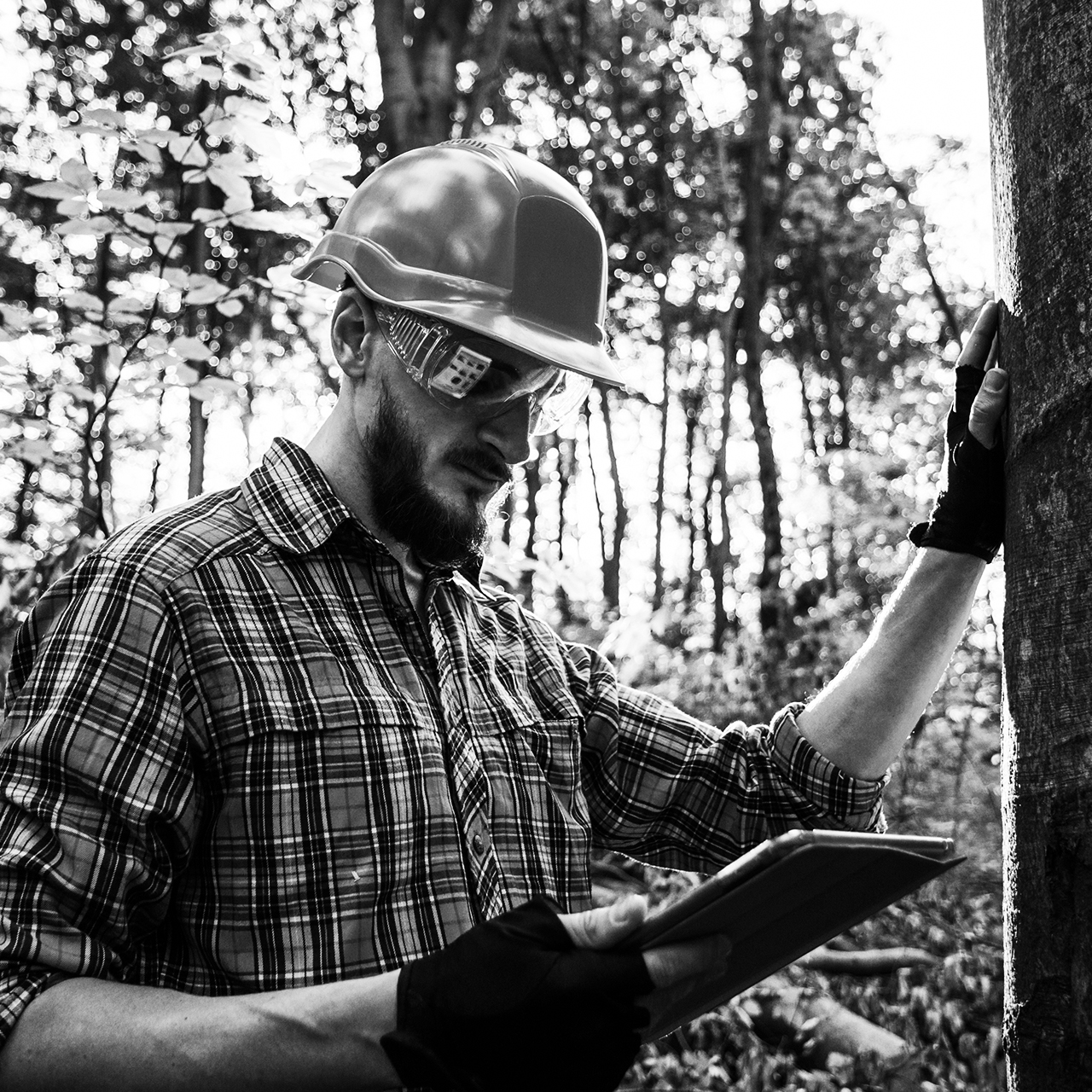 The,Engineer,Checks,The,Trees,With,The,Tablet